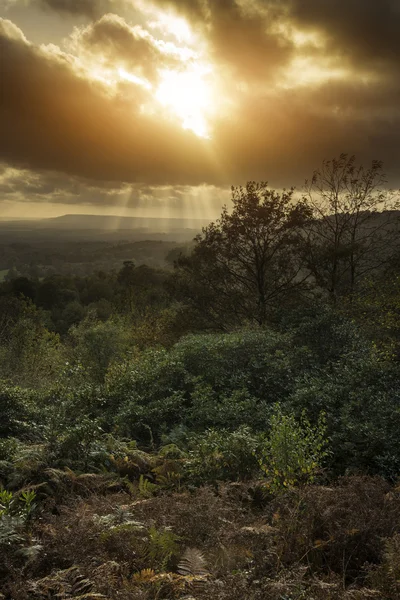 Hermosa caída de otoño puesta de sol sobre el paisaje forestal con el dr malhumorado — Foto de Stock