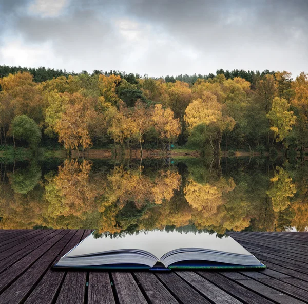 Splendidi riflessi boschivi autunnali in acque calme del lago — Foto Stock