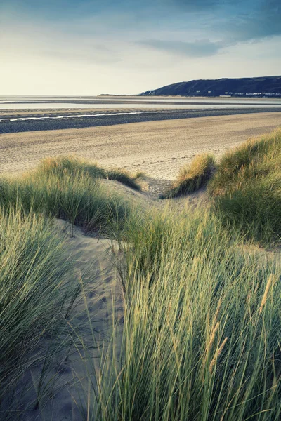 Verão à noite paisagem vista sobre dunas de areia gramíneas na praia wi — Fotografia de Stock