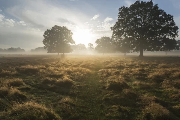 Belos Outono amanhecer paisagem rural — Fotografia de Stock