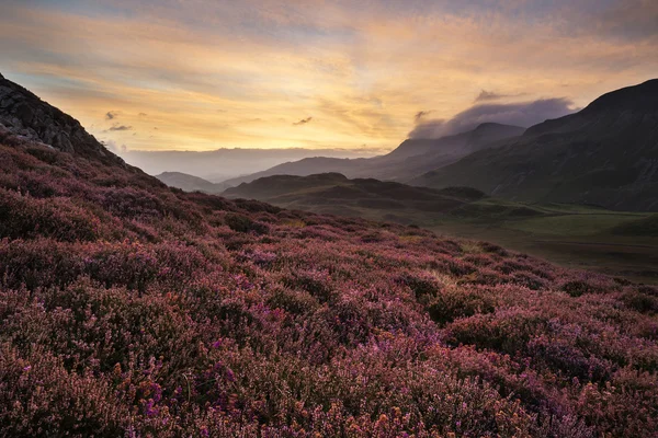 Stunning Summer dawn over mountain range with lake and beautiful — Stock Photo, Image