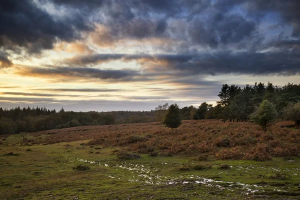 Prachtige Autumn Fall zonsondergang over boslandschap met humeurig dr — Stockfoto