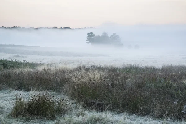 Bela neblina grossa nascer do sol Outono Outono paisagem rural wi — Fotografia de Stock