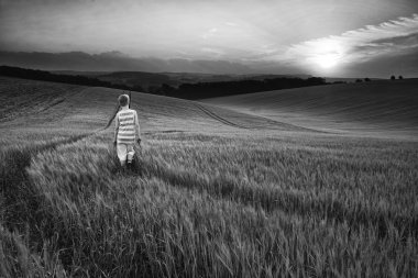 kavramı manzara genç çocuk s gün batımında alanda yürüyüş