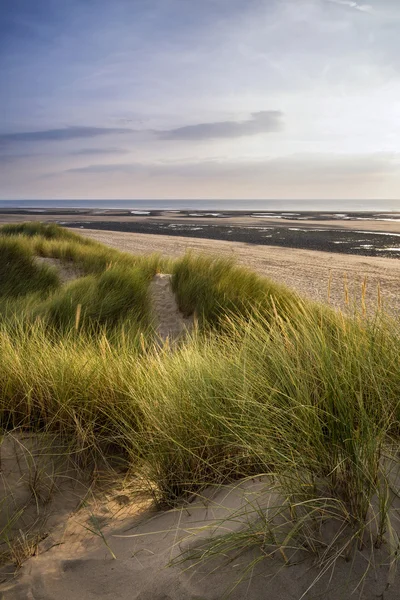 Sommarkväll liggande vy över gräsbevuxna sanddynerna på stranden — Stockfoto