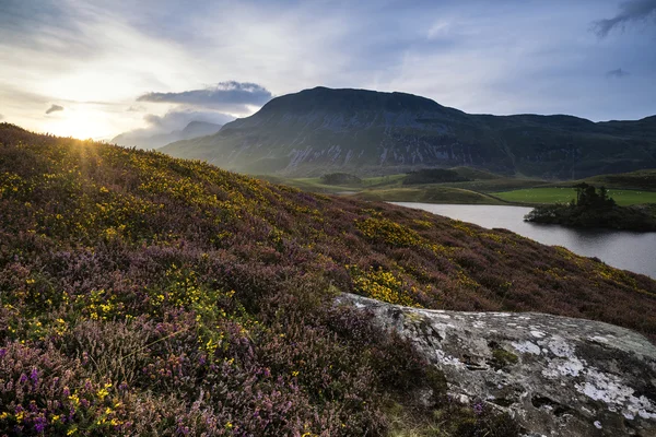 Superbe aube d'été sur la chaîne de montagnes avec lac et belle — Photo