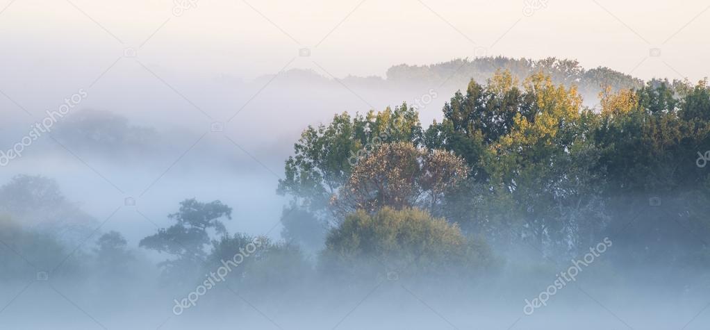 Beautiful thick fog sunrise Autumn Fall countryside landscape wi