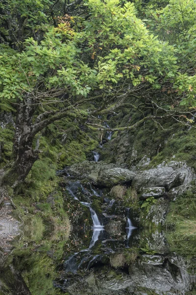 Waterfall long exposure landscape image in Summer in forest sett — Stock Photo, Image