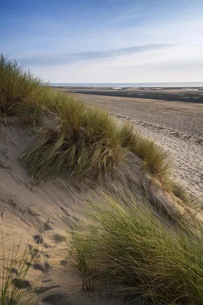 Zomeravond landschap weergave over met gras begroeide zandduinen op strand — Stockfoto
