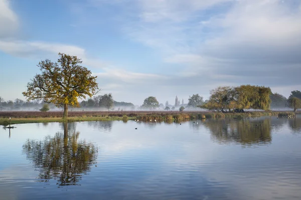 ภูมิทัศน์ยามเช้าที่สวยงามในฤดูใบไม้ร่วงเหนือทะเลสาบ — ภาพถ่ายสต็อก