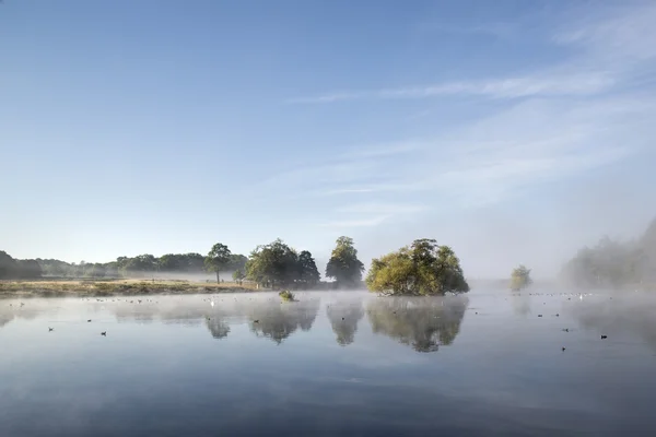 Calm still lake with mist hanging over water on frosty Autumn Fa — Stock Photo, Image