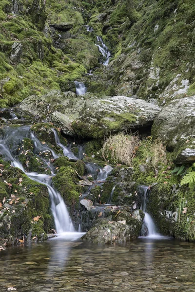 Şelale uzun pozlama peyzaj görüntüsü yaz aylarında orman ayarları — Stok fotoğraf