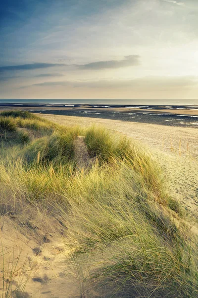 Verão à noite paisagem vista sobre dunas de areia gramíneas na praia wi — Fotografia de Stock