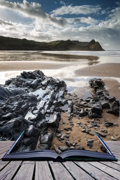 Bella estate alba paesaggio sulla spiaggia di sabbia gialla conce — Foto Stock