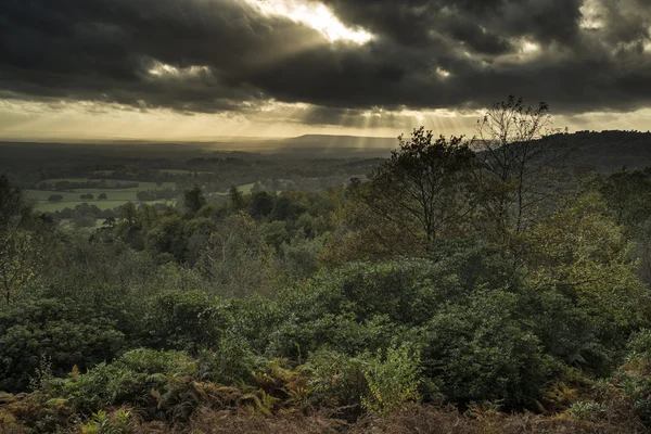 Prachtige Autumn Fall zonsondergang over boslandschap met humeurig dr — Stockfoto