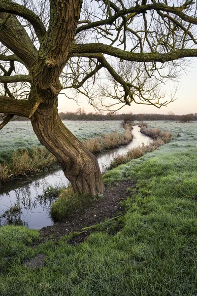 Landscape Winter surnise of river and frosty fields — Stock Photo, Image