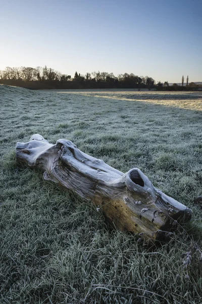 Frsoty fiedl en ijs bedekt landschap van de log — Stockfoto