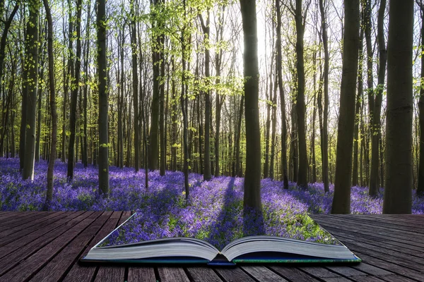创意概念形象惊人蓝铃花在春天森林 — 图库照片