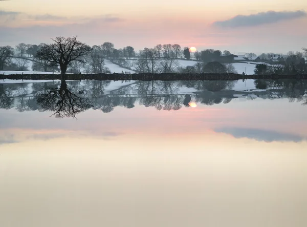 Sneeuw overdekte platteland zonsopgang winterlandschap weerspiegeld in s — Stockfoto