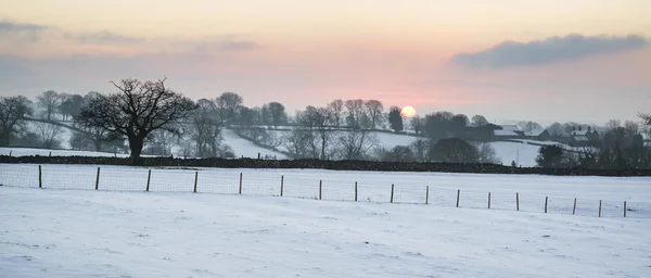 Mooie winterlandschap over sneeuw bedekt Winter landschap — Stockfoto