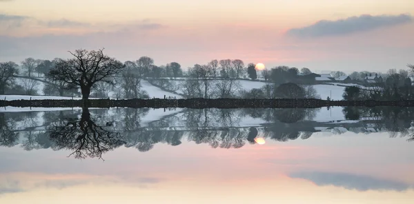 Snow covered Winter countryside sunrise landscape reflected in s — Stock Photo, Image