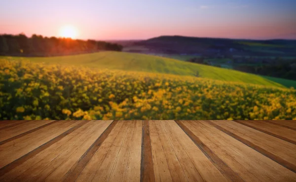 Hermoso amanecer sobre campo de colza en el campo en Sprin — Foto de Stock