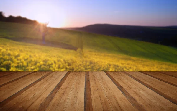 Belo nascer do sol sobre o campo de colza no campo em Sprin — Fotografia de Stock