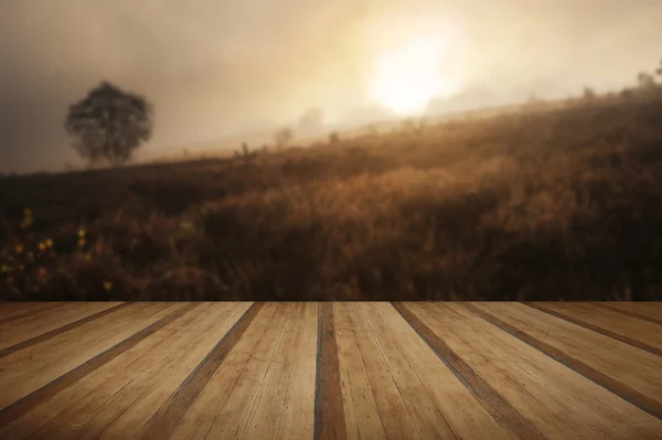 Mistige mistige bos van de herfst landschap bij dageraad met houten planken f — Stockfoto