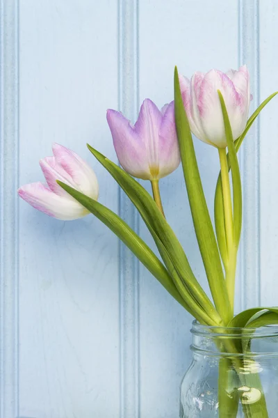 Beautiful Spring flower still life with wooden background and ho — Stock Photo, Image