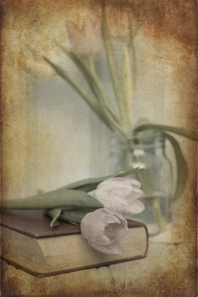 Still life bild av vårblommor med vintage textur filter e — Stockfoto