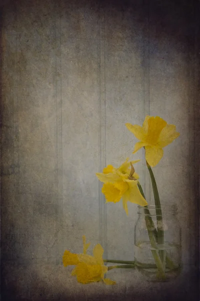 Still life bild av vårblommor med vintage textur filter e — Stockfoto