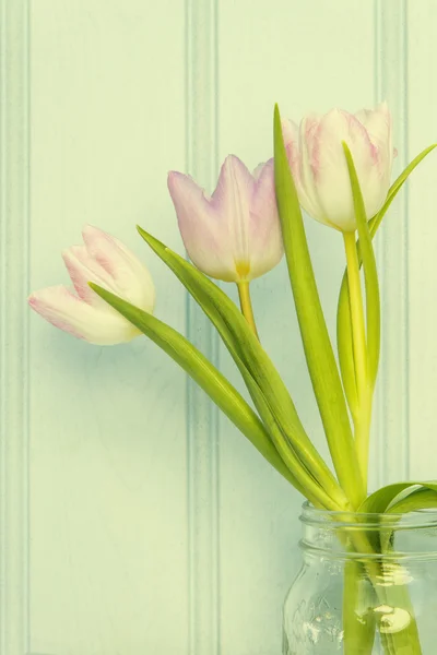 Still life image of Spring flowers with Instagram style cross pr — Stock Photo, Image