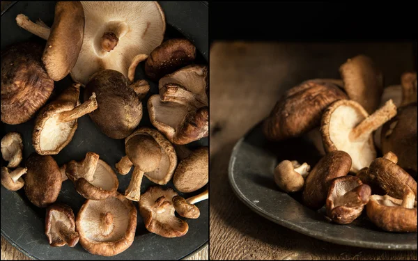 Compilation of images of Fresh shiitake mushrooms in moody natural light — Stock Photo, Image