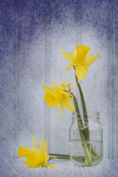 Still life bild av vårblommor med vintage textur filter e — Stockfoto