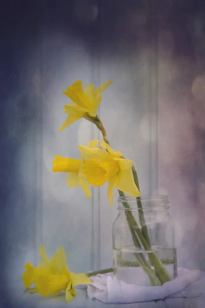 Still life bild av vårblommor med vintage textur filter e — Stockfoto