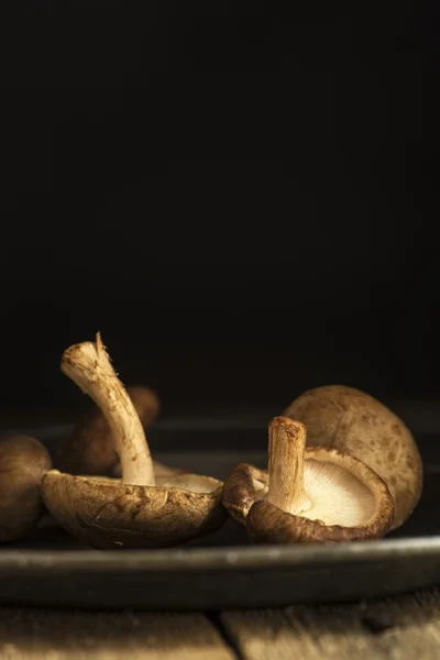 Fresh shiitake mushrooms in moody natural light setting with vin — Stock Photo, Image