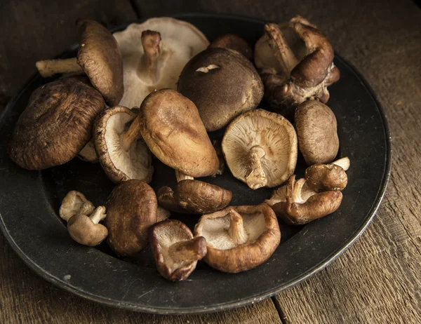 Fresh shiitake mushrooms in moody natural light setting with vin — Stock Photo, Image