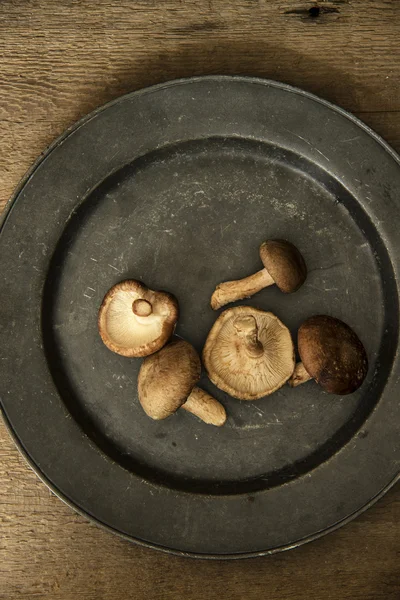 Funghi shiitake freschi in ambiente di luce naturale lunatico con vin — Foto Stock