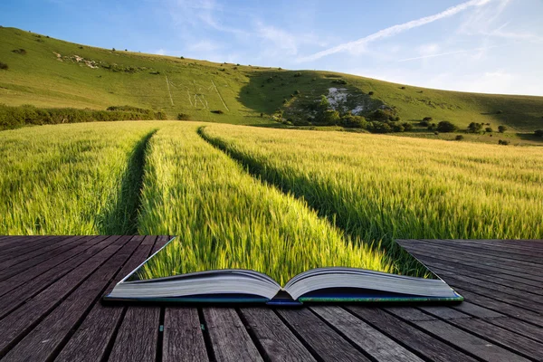 Immagine paesaggistica di gesso antico intaglio in collina Long Man se — Foto Stock