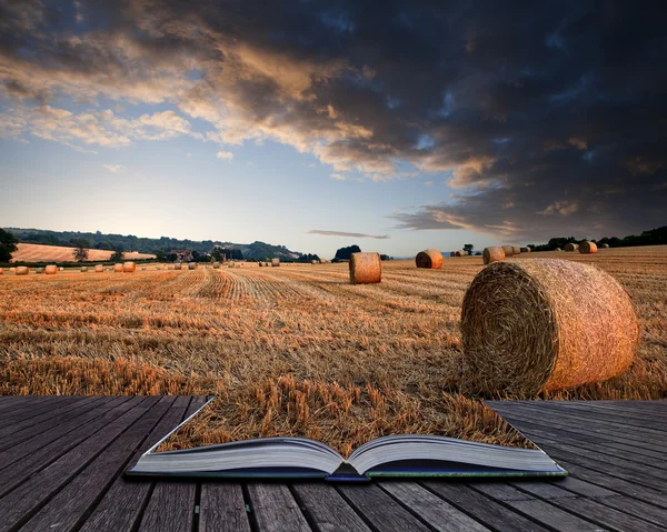 Vackra gyllene timmen hö balar solnedgång landskap konceptuella bok — Stockfoto