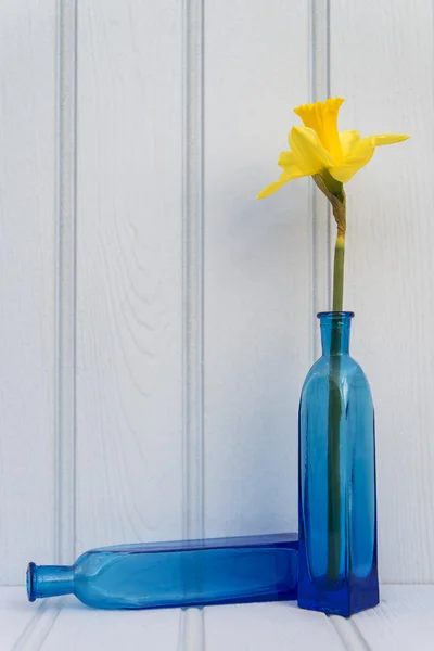 Hermosa flor de primavera naturaleza muerta con fondo de madera y ho —  Fotos de Stock