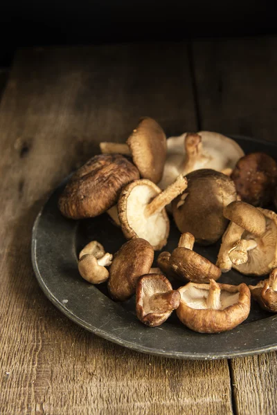 Fresh shiitake mushrooms in moody natural light setting with vin — Stock Photo, Image