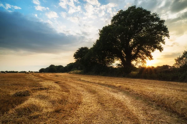 Imagem da paisagem rural do pôr do sol de verão sobre o campo de fardos de feno — Fotografia de Stock