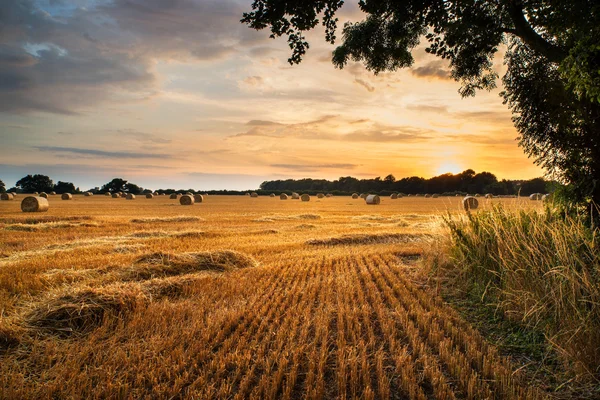 Paysage rural image du coucher de soleil d'été sur le champ de balles de foin — Photo