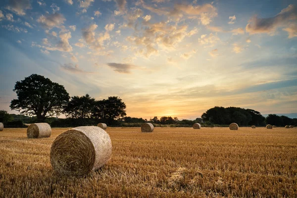 Obrázek venkovské krajiny letní západ slunce nad polem balíků sena — Stock fotografie