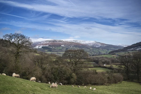 Agricultural landscape in Winter with snow capped mountain range — Stock Photo, Image