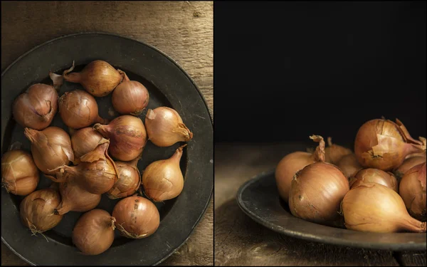Compilation of shallots images with moody natural light vintage — Stock Photo, Image