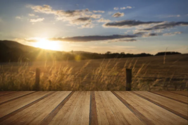 Mooie zomerse landschap van zon veld in countrys achtergrondverlichting — Stockfoto