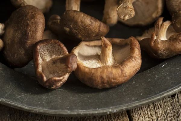Fresh shiitake mushrooms in moody natural light setting with vin — Stock Photo, Image