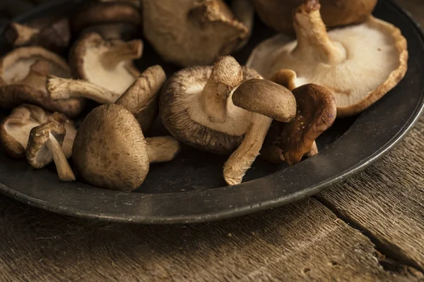 Fresh shiitake mushrooms in moody natural light setting with vin — Stock Photo, Image